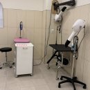 강아지미용실 이미지