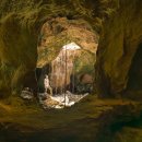 blessed farm 이미지