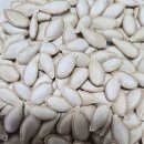 맷돌호박씨앗 이미지