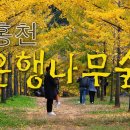 은행약수터 이미지