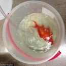 이소영동물병원 이미지