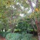 자굴산권역 이미지