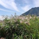 낙동강종주자전거길 이미지