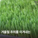 주식회사 햅건 이미지
