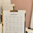 모노퍼피 이미지