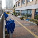 이의초등학교 이미지