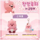 잔망루피 팝업스토어 운영 이미지