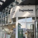 도그메종 이미지