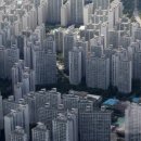 금나라부동산공인중개사사무소 네이버블로그