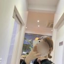 (주)디저트스토리 이미지