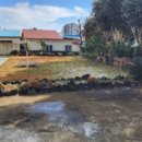 제주올레공인중개사사무소 이미지