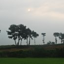 무궁화농원 이미지