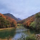 반야사부도2기 | 전국유명사찰 호랑이로 유명한 절 영동 백화산 반야사 가을