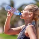 바디스케치 이미지