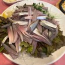 세진이네 | 인천 부평 산곡역 횟집 추천 세진이네회포차 내돈내산 후기