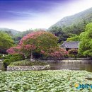 산방로8 이미지