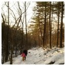 (주)뉴에이텍 | 스테로이드 중단 2일 째