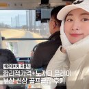 링크나인골프클럽 | 해운대비치 cc 퍼블릭 골프클럽 노캐디 라운딩 예약 후기