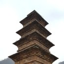 봉감모전5층석탑 옆 이미지