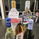 오늘 술 먹자