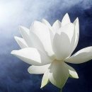 2020-주145 네이버블로그