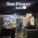 썬 플라워