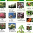 다복솔농장 이미지