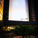 도시의 오후 이미지