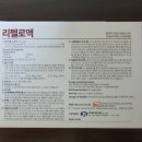 청년동물약국 이미지