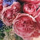 어진박물관 이미지