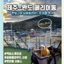반려견 이해하기(펫) | 제주완도 한일고속페리 실버클라우드 후기 (이용시설, 가격, 객실종류, 펫룸 반려견 동반추천)