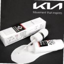 주식회사 블루자동차 이미지