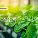 [담화] 2026년 제31회 농민 주일 담화 이미지