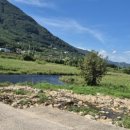 코코앤망고 이미지