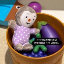 해인어린이집 | [공구오픈] 베베추피 공구 돌아기전집 가격 (+워크지 증정) ​