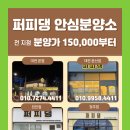 퍼피댕 강아지분양 안심분양소 청주점 말티푸미니비숑토이푸들 이미지