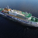 팬스타미라클 이미지