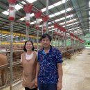 둥이네 농장 이미지