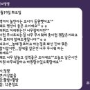 오늘도 댕댕 이미지
