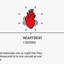 노벨전자 이미지