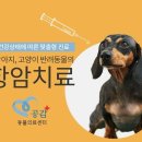 수원-0025 이미지