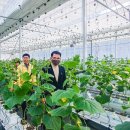 도비농장 이미지