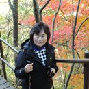 중앙동122 이미지