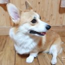 한옥과편백의 만남 이미지