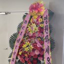 행복해서울어본적있나요 네이버블로그