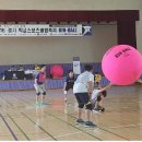 예산스포츠클럽