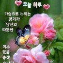 오늘도행복