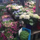 위드씨샵 이미지