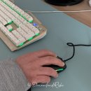 류옵티컬 | 게이밍 마우스 추천, 6개월 썼는데 다시 사도 이거