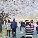 분홍빛 세계로컬신문